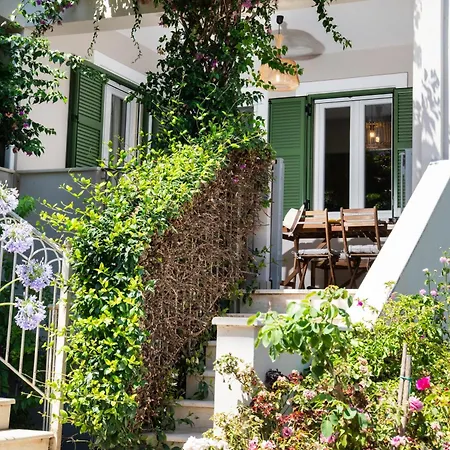 Boukamvillia νidri 2 نيدري